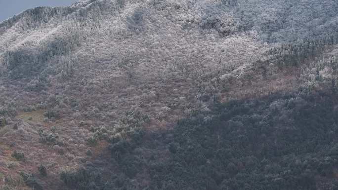 浙西天池 江南第一池 杭州 雪山 雾凇