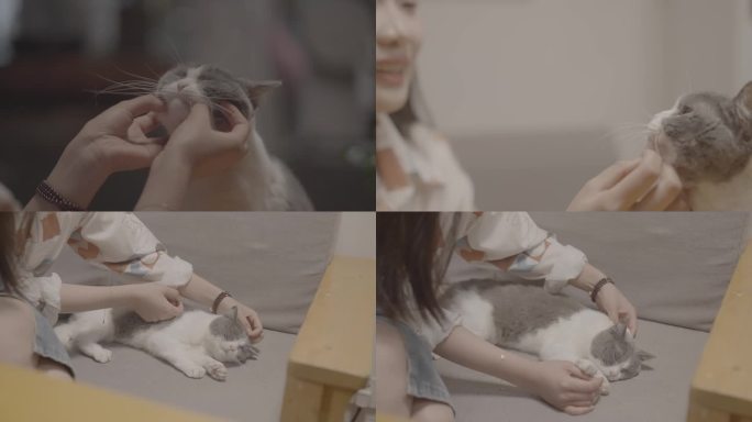 【4K50帧】美女和猫咪玩耍撸猫抚摸小猫