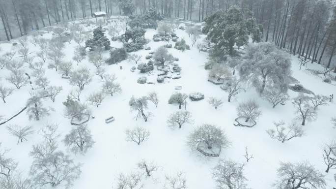 武汉东湖风景区梅园雪景风光