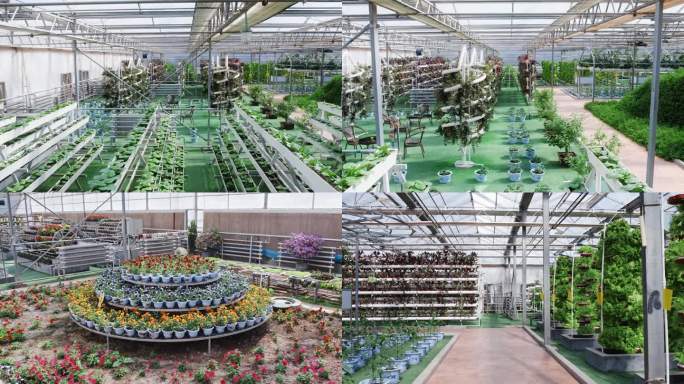 温室农业示范点花卉蔬菜