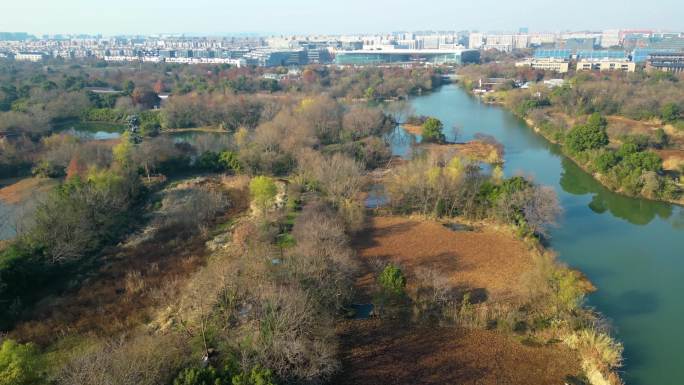 杭州市西湖区西溪湿地美景风景视频素材