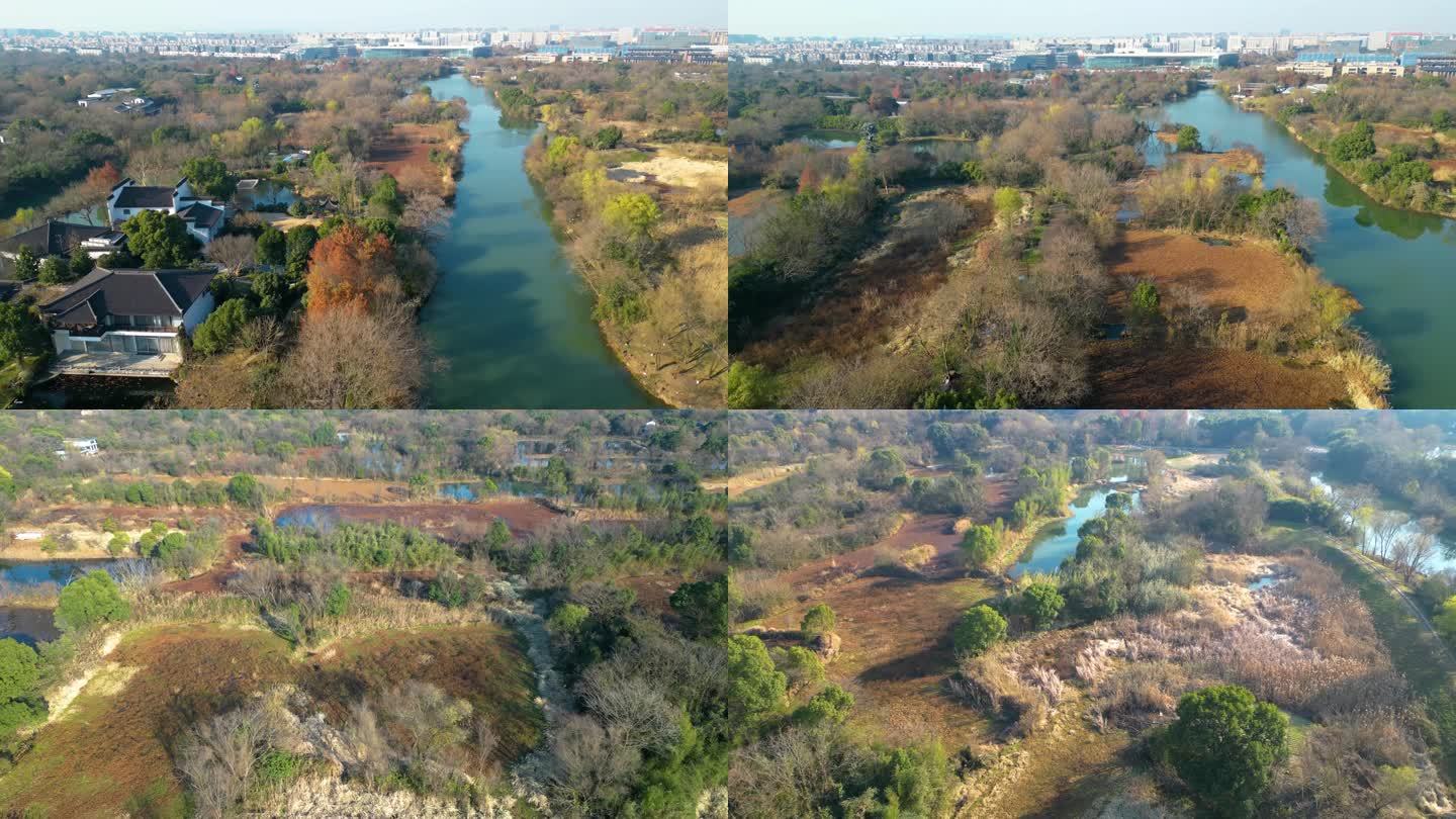 杭州市西湖区西溪湿地美景风景视频素材