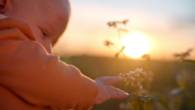 日落时分，可爱的小男孩和妈妈坐在空地上对着天空抚摸花朵的镜头