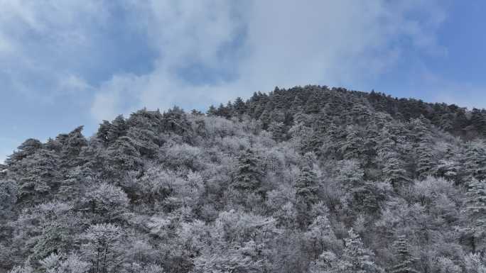 浙西天池 江南第一池 杭州 雪山 雾凇