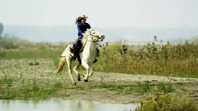 女骑手骑马穿越河流溪流草原草地飞奔