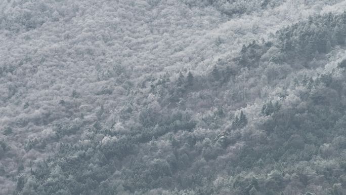 浙西天池 江南第一池 杭州 雪山 雾凇