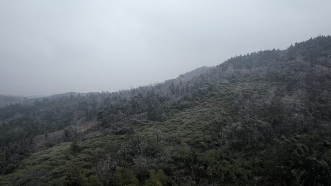 冬天雪景