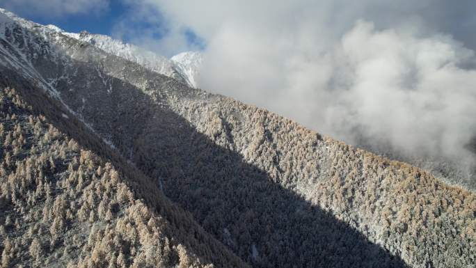 航拍秋天早晨雪后云雾缭绕的四姑娘山