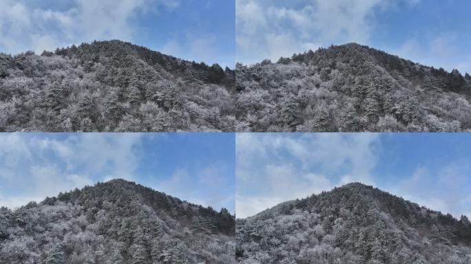 浙西天池 江南第一池 杭州 雪山 雾凇