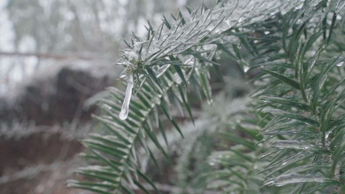 冰雪融化02