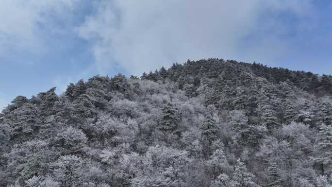 浙西天池 江南第一池 杭州 雪山 雾凇