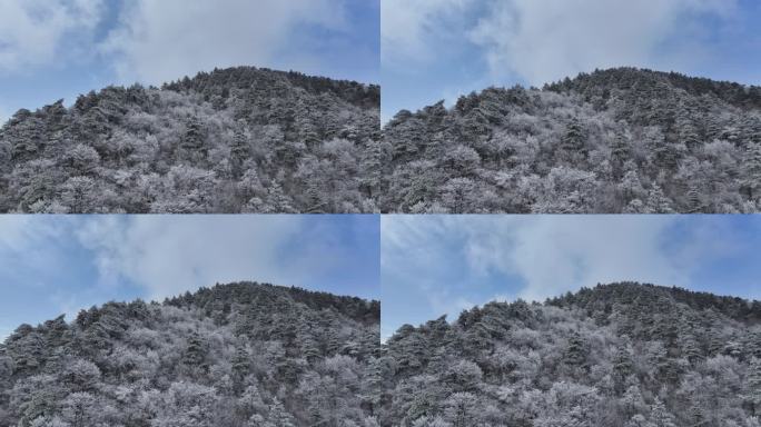 浙西天池 江南第一池 杭州 雪山 雾凇