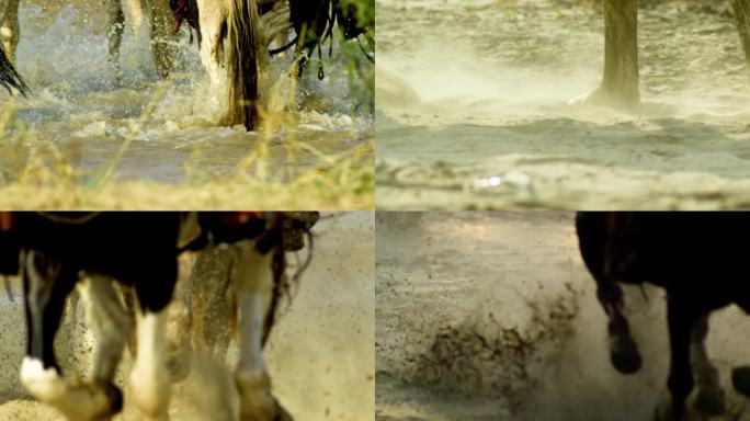 马蹄特写奔马马蹄踏入水中土中沙漠奔跑的马
