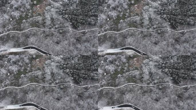 浙西天池 江南第一池 杭州 雪山 雾凇