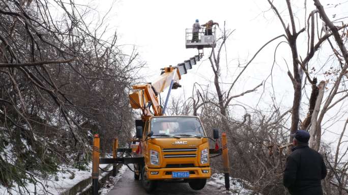 冬季雪后市政道路交通安全城市行道树修剪