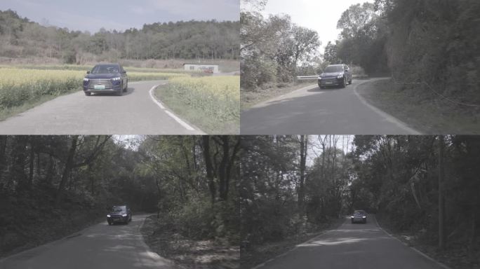 【4K50帧】比亚迪SUV电车在树林行驶