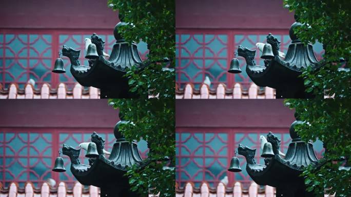 阴雨天杭州法喜讲寺的鸽子