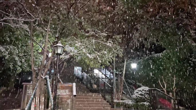 下雪 暴雪 冬天 冷空气 降温 小区雪景