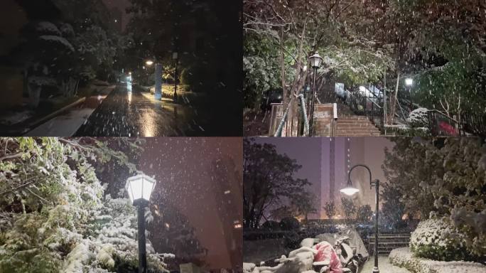 下雪 暴雪 冬天 冷空气 降温 小区雪景