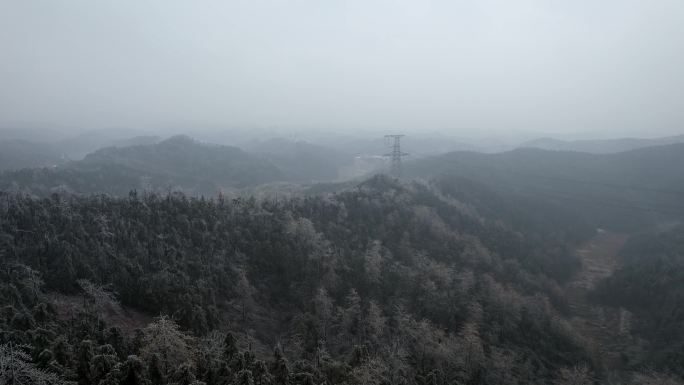 森林雪景