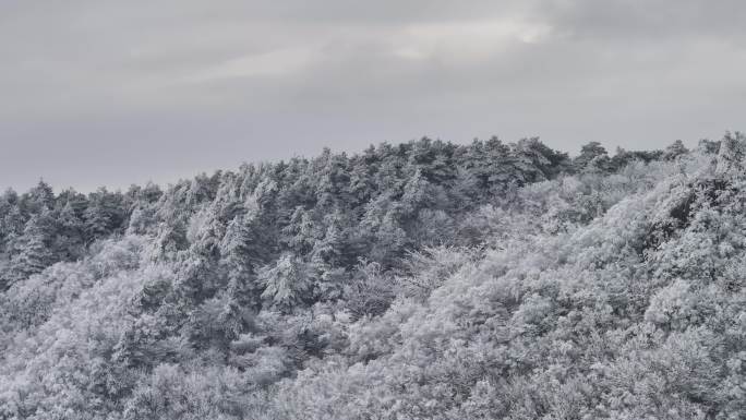 浙西天池 江南第一池 杭州 雪山 雾凇