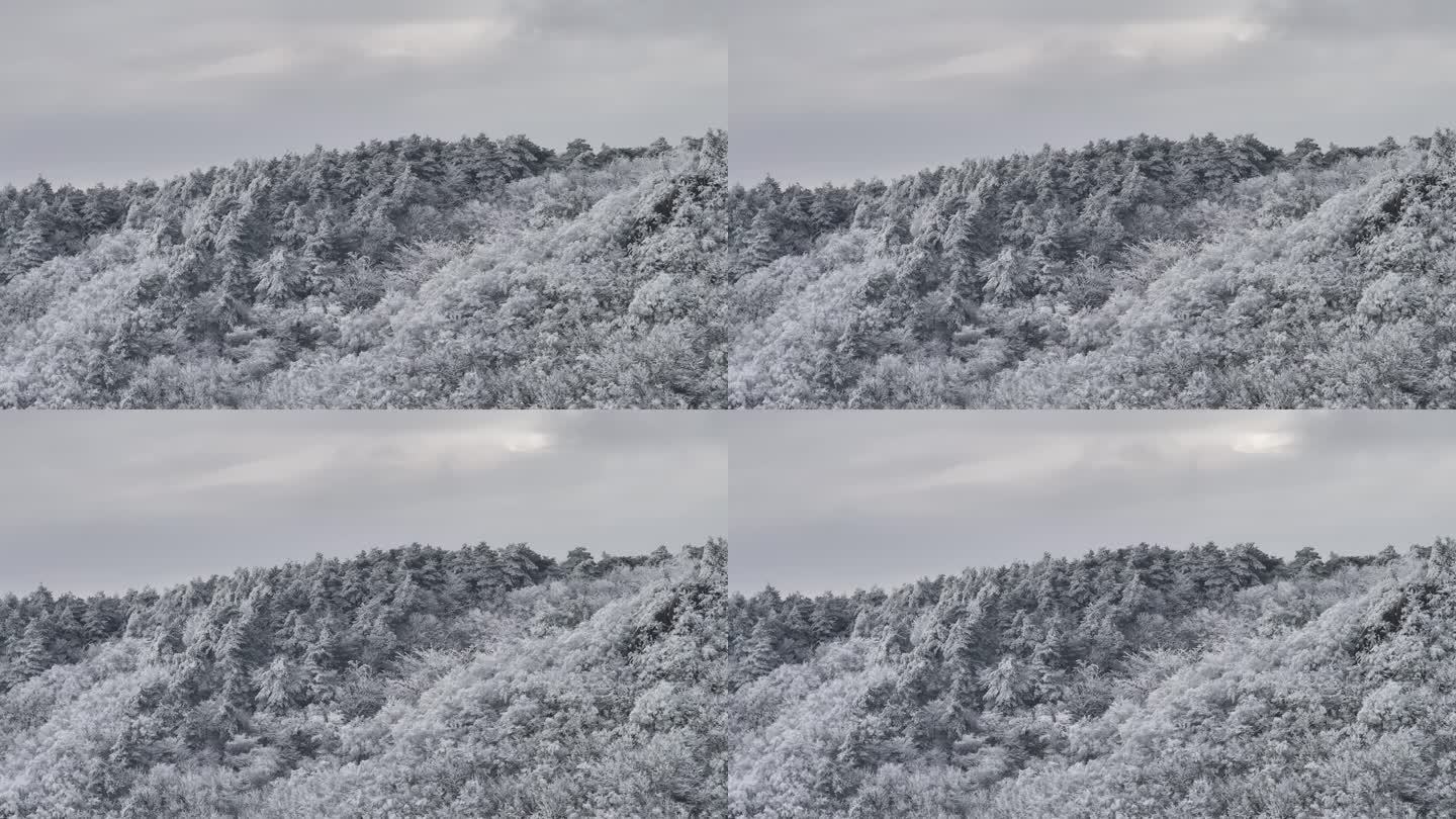 浙西天池 江南第一池 杭州 雪山 雾凇