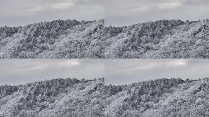 浙西天池 江南第一池 杭州 雪山 雾凇