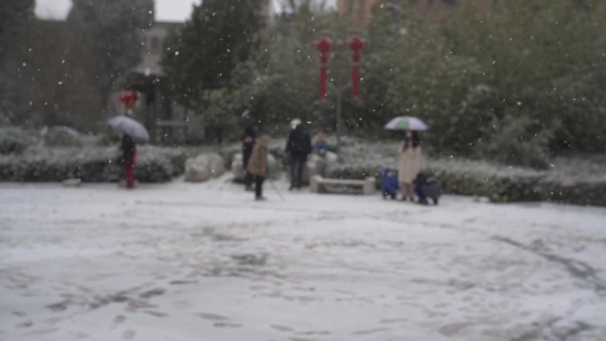 冬天下雪雪景小雪中雪大雪雪花飘落舞台背景