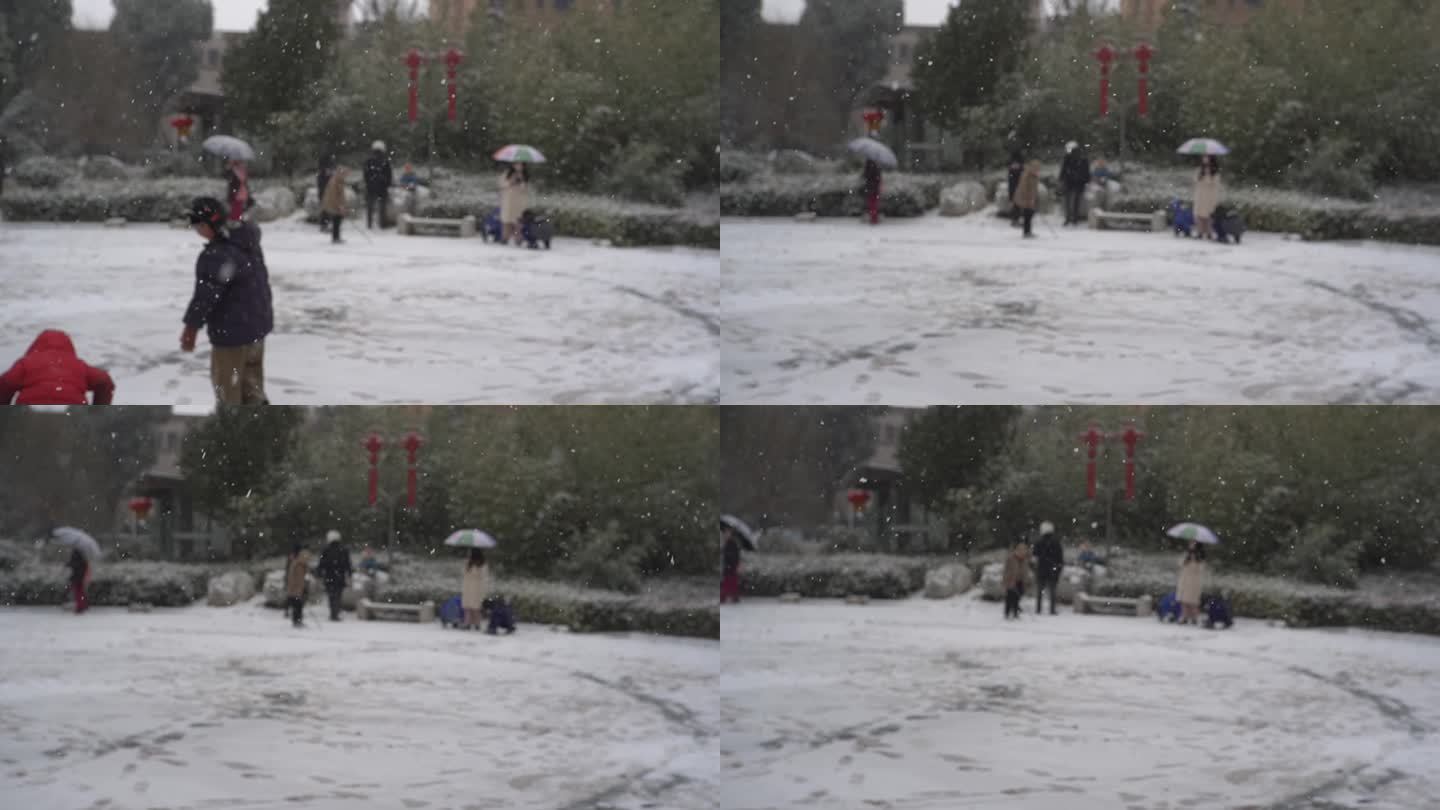 冬天下雪雪景小雪中雪大雪雪花飘落舞台背景