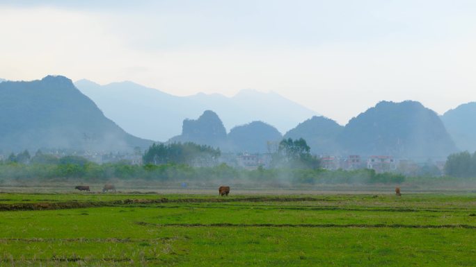 美丽乡村田间清闲时光