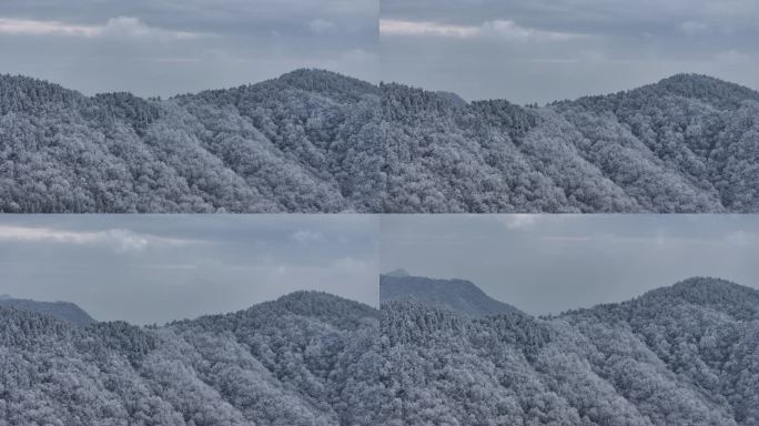 浙西天池 江南第一池 杭州 雪山 雾凇