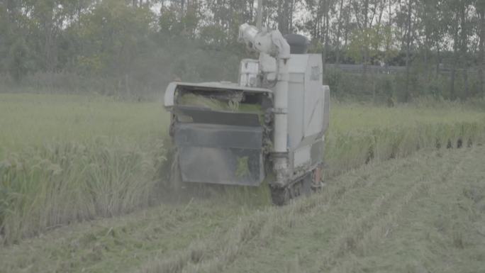 江苏省机械化水稻种植视频