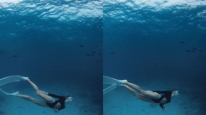 在马尔代夫热带海域与护士鲨一起游泳。女自由潜水员在水下和很多鲨鱼在一起