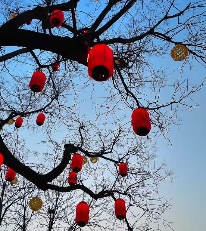 北京胡同新年红灯笼