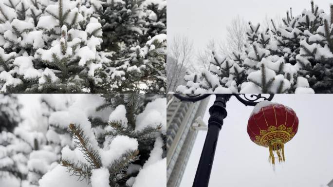 瑞雪兆丰年1