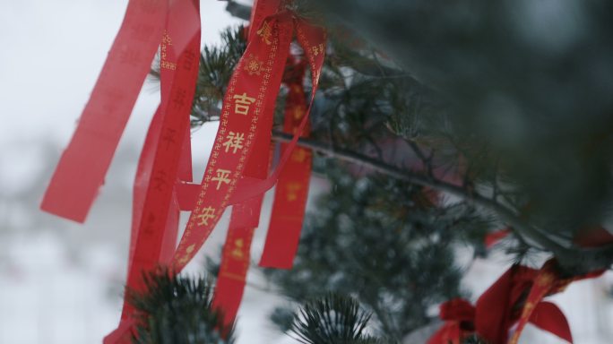 冬季雪中祝福祈祷牌许愿树红丝带飞舞