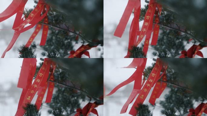 冬季雪中祝福祈祷牌许愿树红丝带飞舞