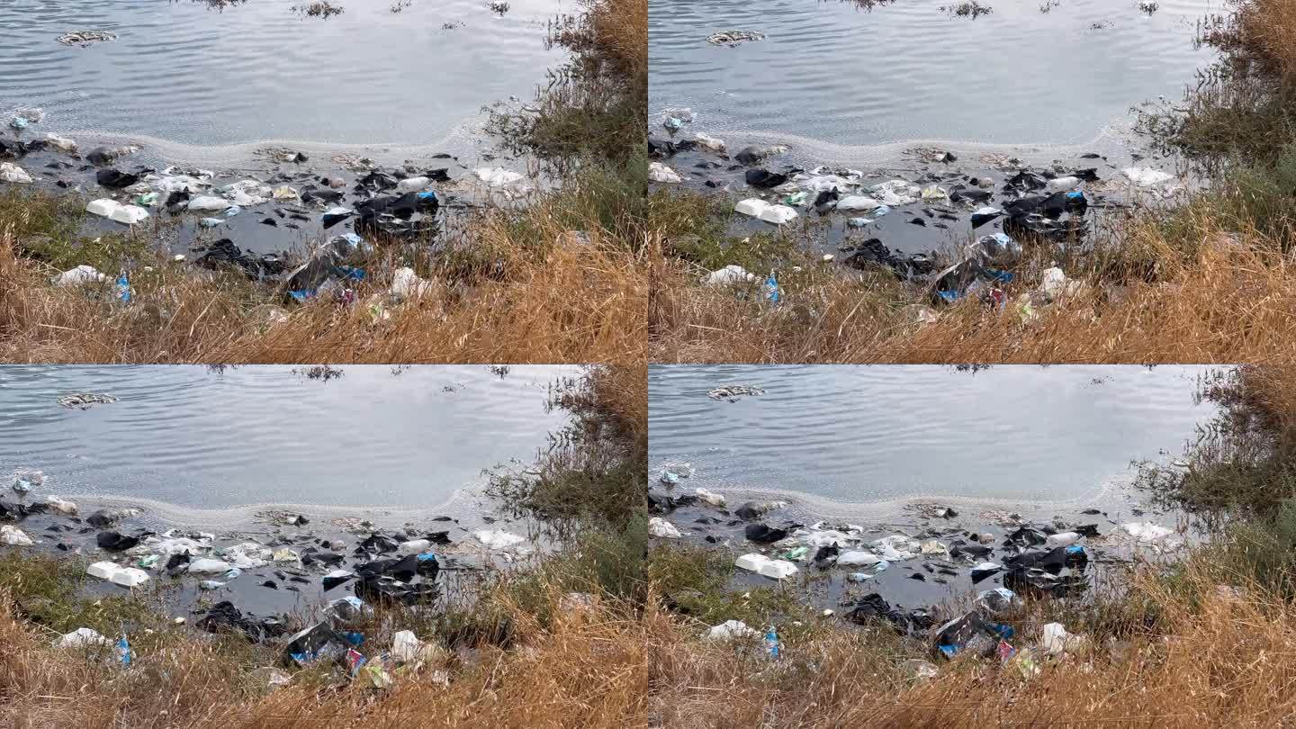 水污染的环境损害概念