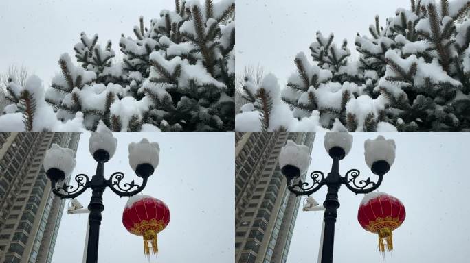 瑞雪兆丰年2