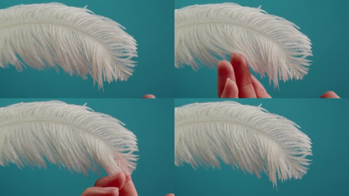 白色的羽毛纹理，触摸柔软的羽毛在蓝色背景特写。柔软和皮毛柔嫩的概念。