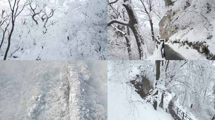 秦岭大雪雾凇