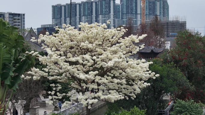 中国广东省广州市番禺区南村镇余荫山房