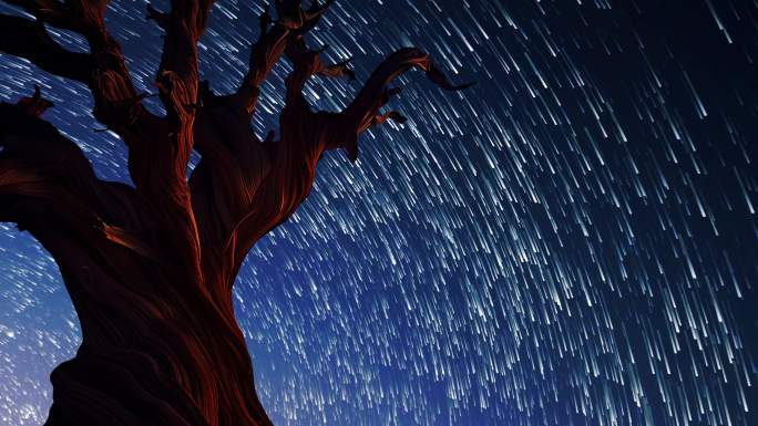夜晚星轨和枯树