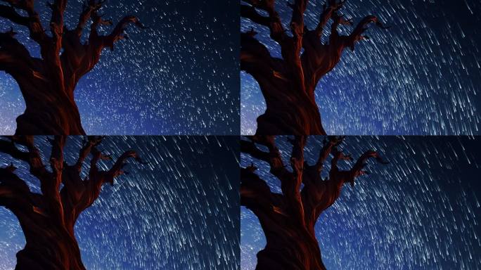 夜晚星轨和枯树