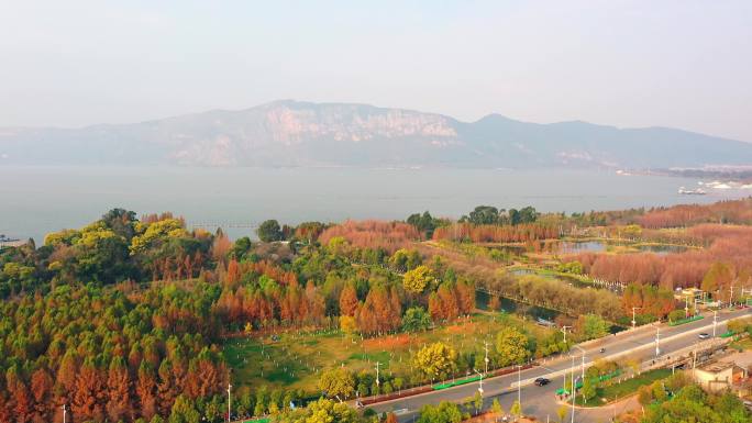 初春时节时的昆明星海半岛湿地公园