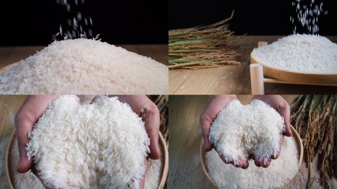 米 大米  三农 稻谷 米饭 农业 粮食