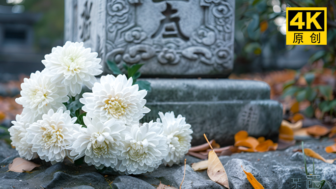 清明节祭祖扫墓素材空镜