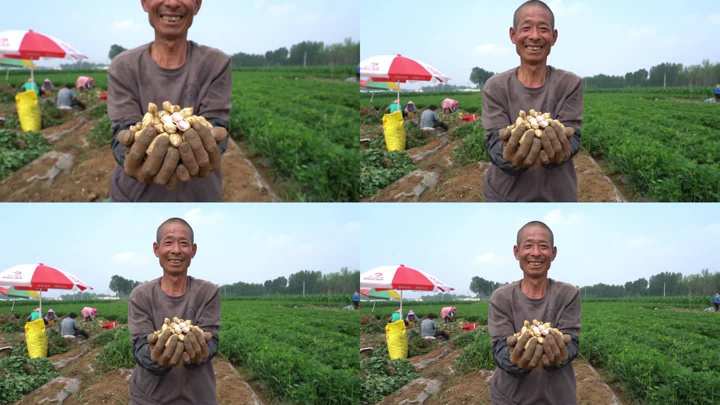 4K农民手捧花生笑脸