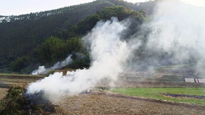 烟火春耕农民种地田间劳动田野烟火刀耕火种