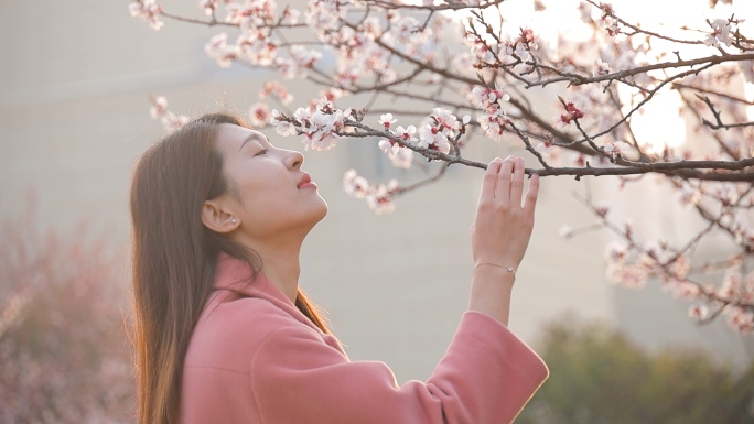 美女花下漫步 美女赏花游玩嬉戏